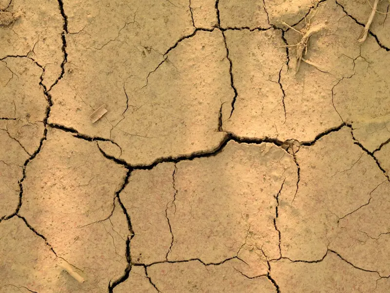 我先提出的分手，现在想挽回，怎么办？