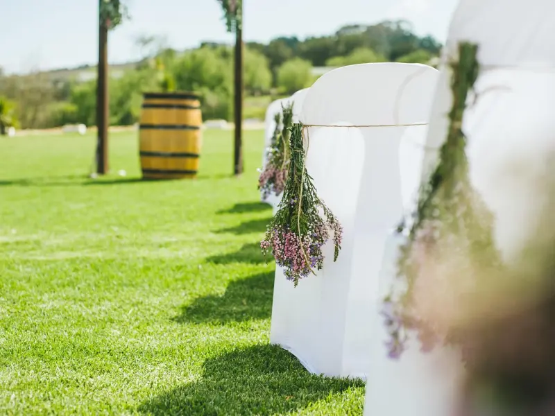 我赚得钱可以买十辆名牌小轿，现在却买不到这些女孩的一笑。