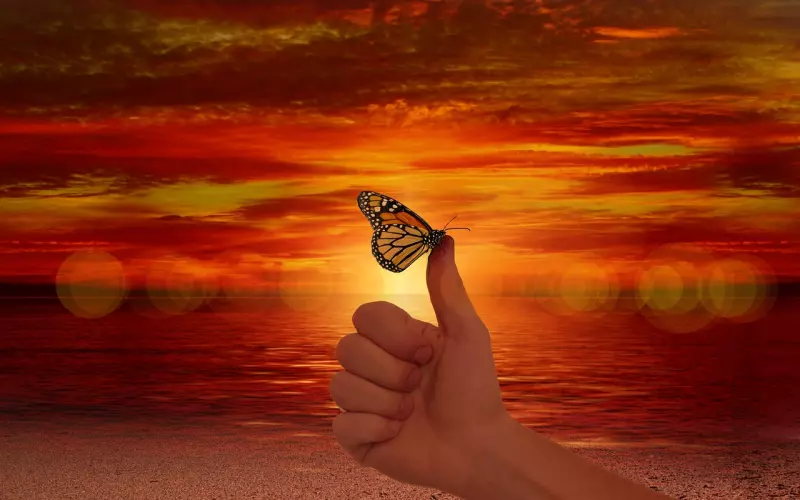 分手后我能感受到他还喜欢我，我们还有希望吗？