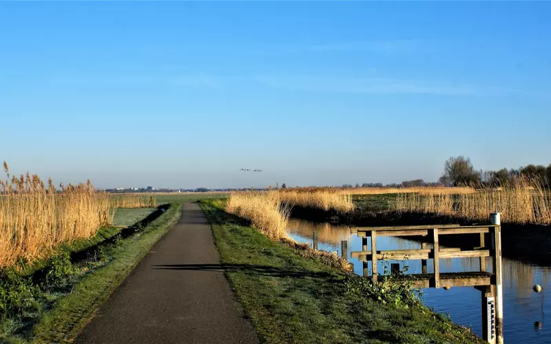 我接受不了真心付出得到的却是这样的结果