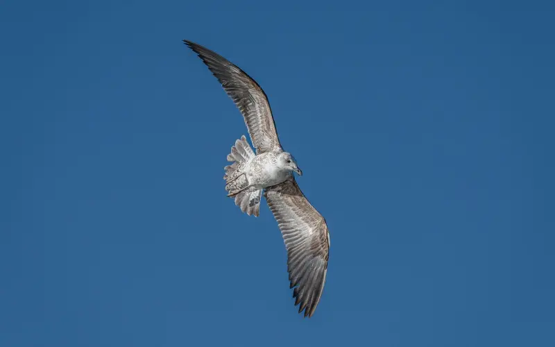 相亲女生约会不出来但会联系，还要坚持吗？