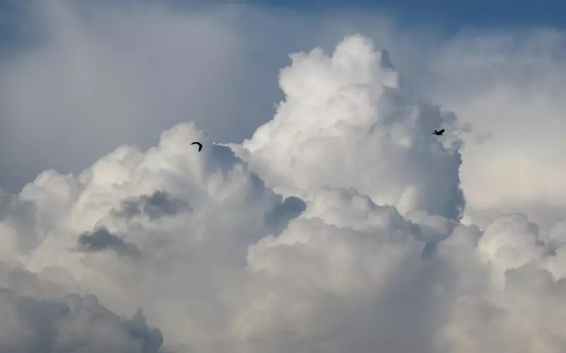 分手之后却忘不了前男友，还能复合吗