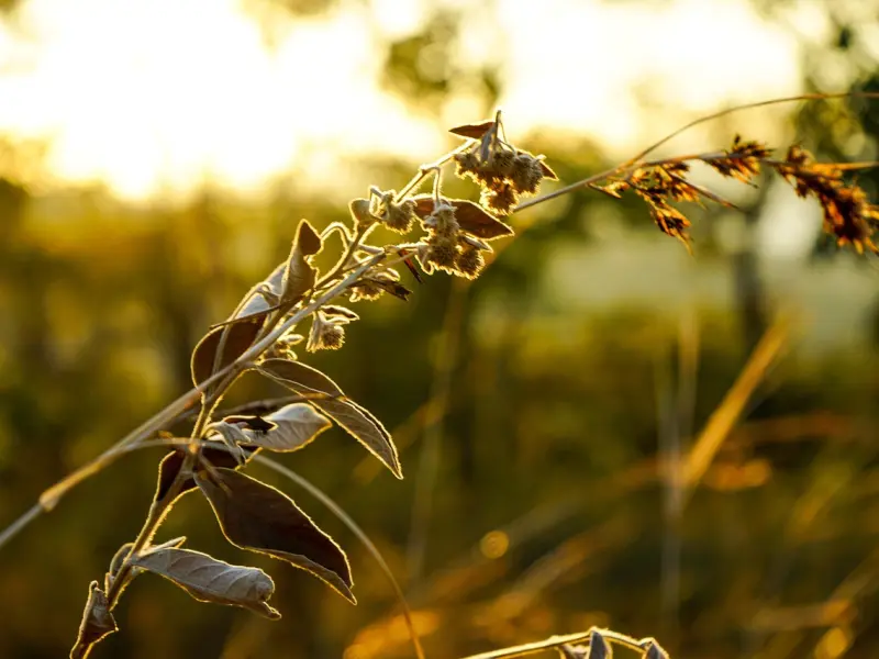 分手后放不下，我还能挽回TA吗？