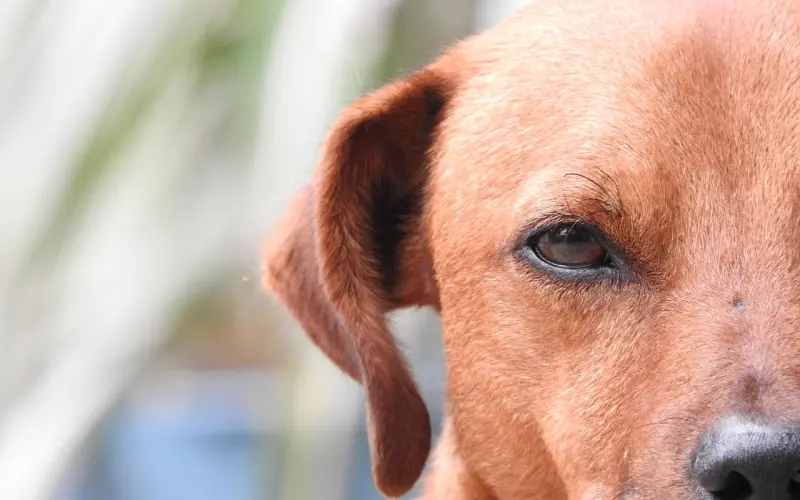 “我出轨了7次，但我老婆不知道”