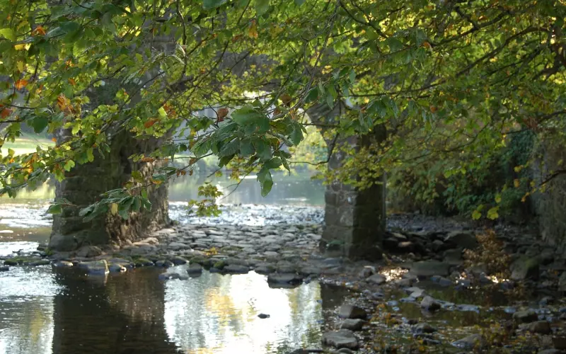 决定跟你分手没想好理由：说出口的理由也只是借口