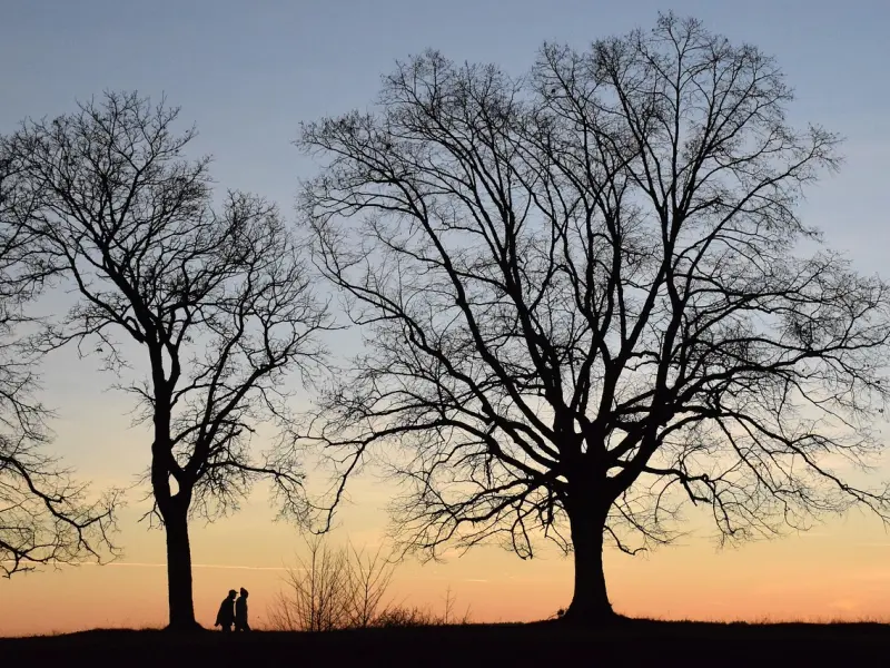 自己做错了事情导致男朋友分手，这样去挽回他