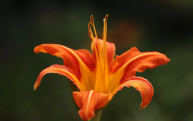 嫌弃男友想分手他不同意 我该继续吗