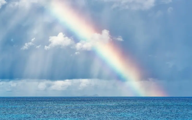 我就不信你谈不上恋爱！