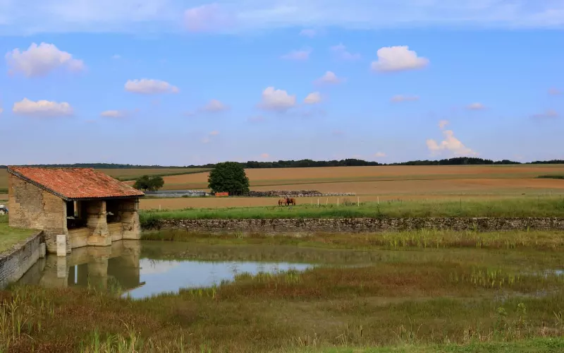 不知道怎样挽回男友，看她挽回前男友
