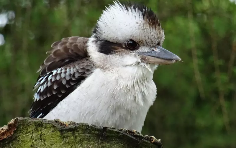 不喜欢也不讨厌怎么挽回