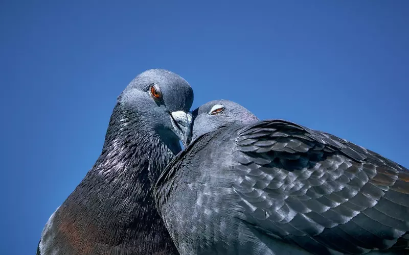 和网恋男友见面次数少 患得患失的我要如何挽回爱情