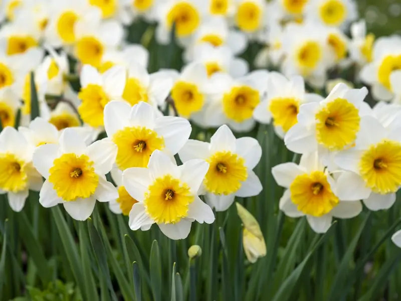 梦见和前男友和好，我该挽回他吗？