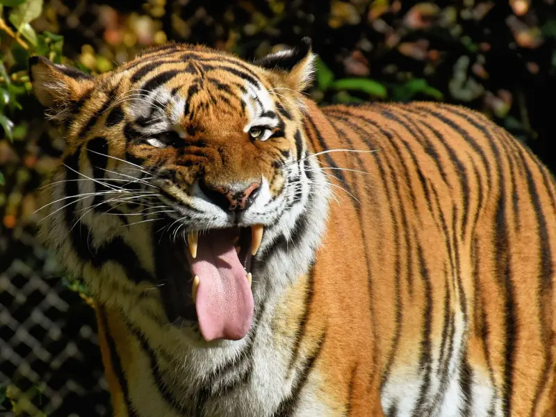 梦见老公有外遇，我该怎么做？