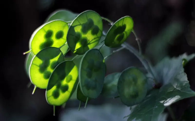 我，13岁辍学，22岁学手艺，借钱买房，网恋结婚，终于有了一个家