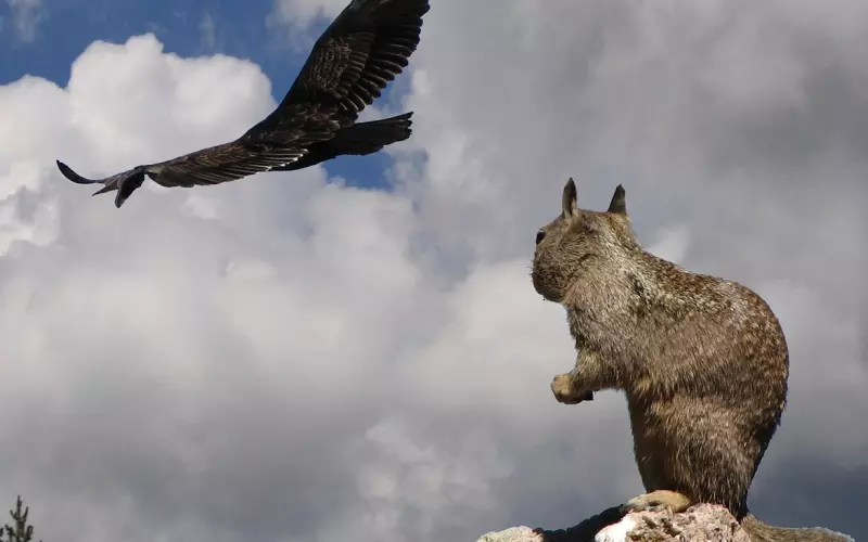 遭遇误会分手，我该如何挽回
