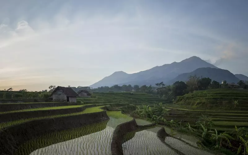 爱上一个不该爱的人，彼此有各自的家庭，心好痛，该怎么办？