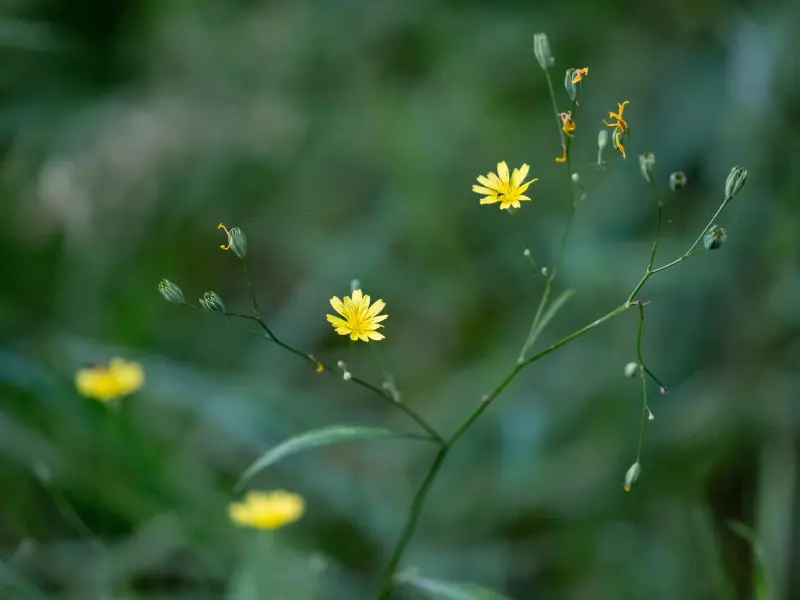 “我觉得自己有点拜金，不知道应该找一个什么条件的......”