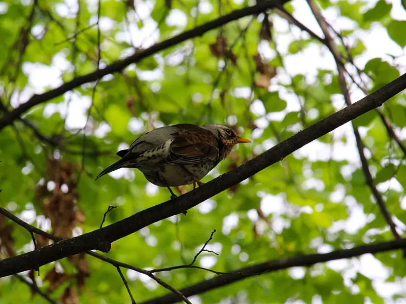 感觉男友对自己越来越冷淡，该如何突破情感困局