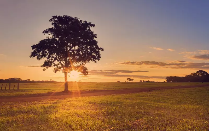 感觉缘分结束了怎么挽回