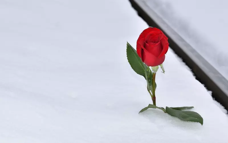 感觉她不爱我了，总怕失去她