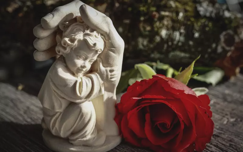 付出所有后我失恋了，我还能相信爱情吗？