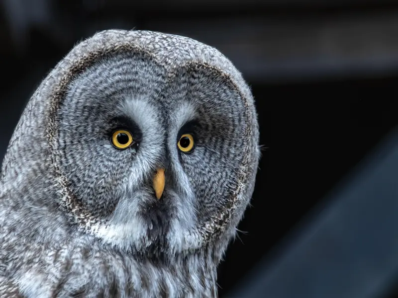 我终于狠下心把他拉黑了，那个我喜欢了很久的人