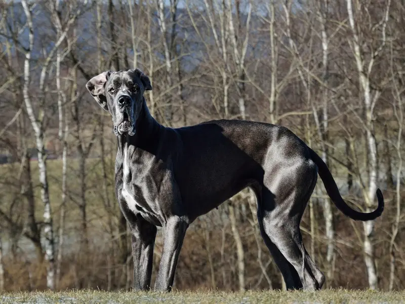 “我查到他和女生去开房的记录，他有意复合，请问我还能信任他吗？”