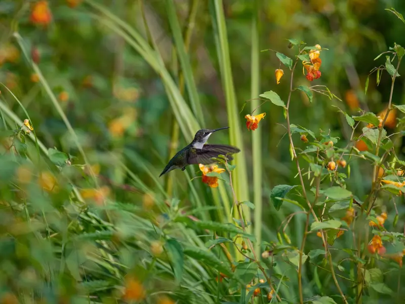 发现老婆跟他人暧昧不清，我该如何挽回我们的婚姻