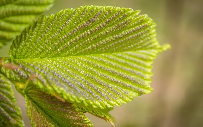 第一次给了男友，很决绝的说分手我该怎么办？