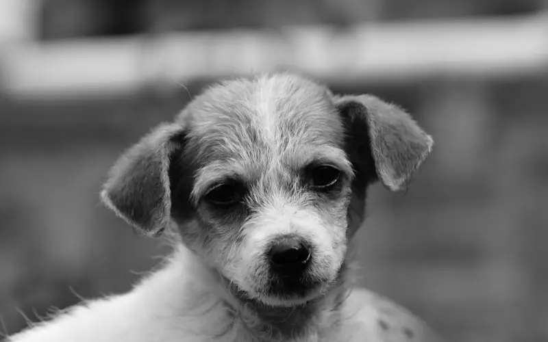 和男友冷战，学会这招后，他主动找我了