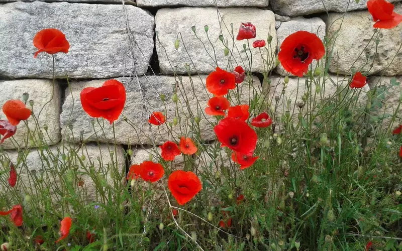 脾气不好 男友说受不了我唠叨要分手怎么办