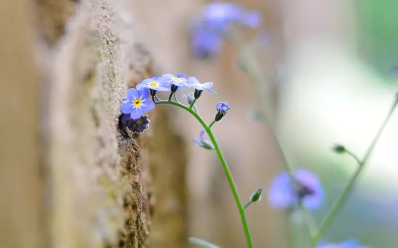 脾气不好 我该怎样才能避免对男友乱发脾气