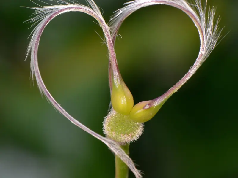 婚后一直和老公异地，他出轨了该怎么办呢