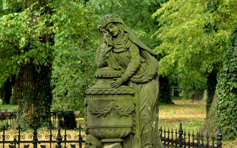 “从2015年开始在微博上关注冷大，喜欢语录保存在邮件里”