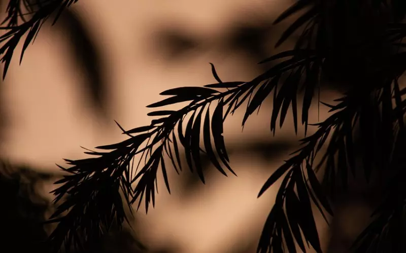 一直被分手的阴影所缠绕，要怎么做才有复合的可能？