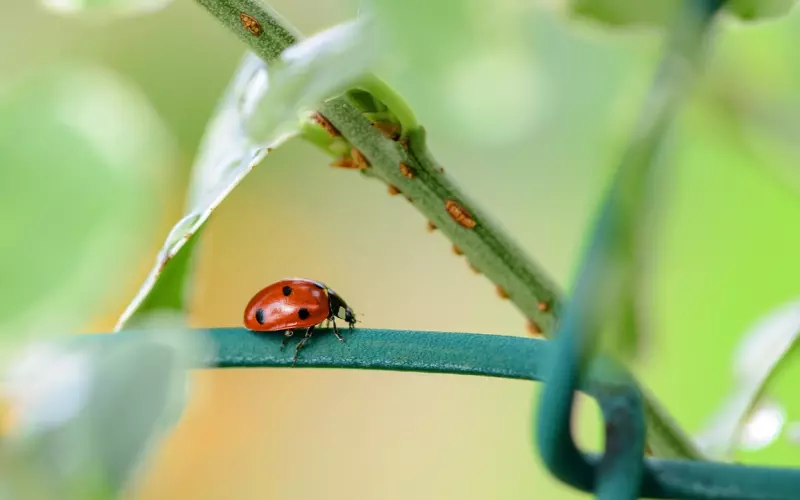 和老公结婚七年了，最近发现他出轨了，难道这就是七年之痒吗
