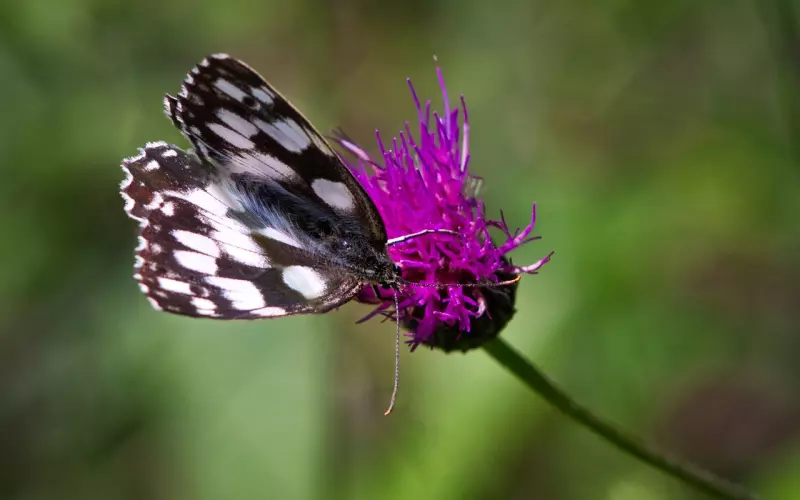相处多年不忍心分手，挽留女友的话怎么说