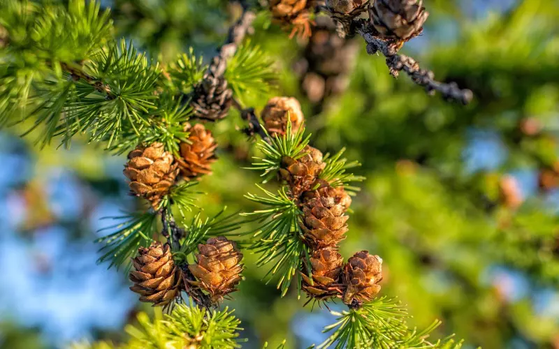 一直在等一个人，一个我们相互喜欢的人，我在这里，你在哪里？