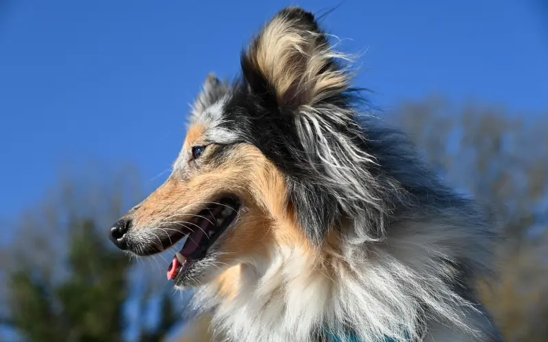 今日觅得良人，谢你当年不娶之恩