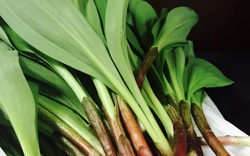 死心了能挽回吗要怎么做