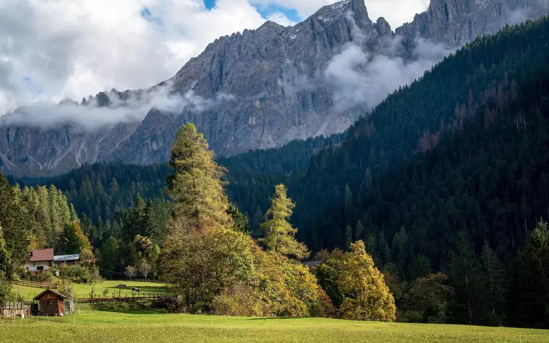 半生做烂泥，连哭都怕失礼（网易云音乐扎心热评）