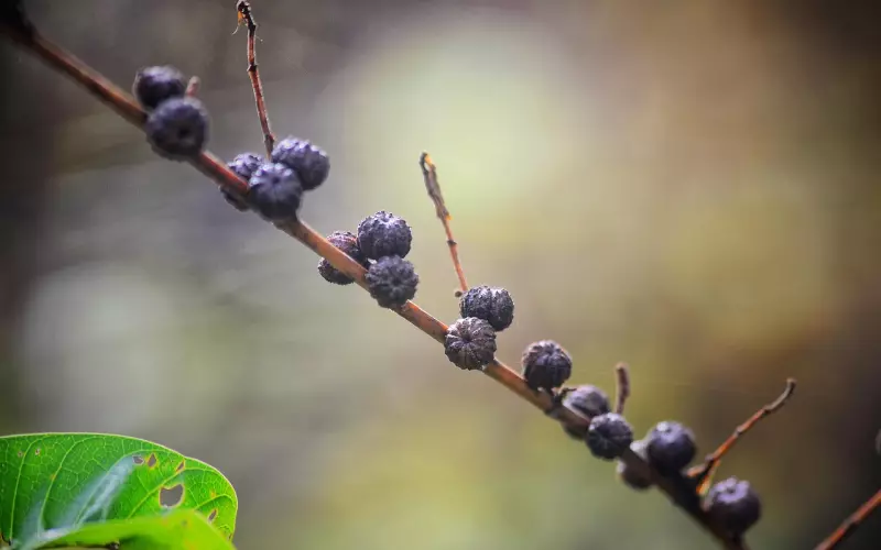 愿有一人，懂你背后的苦