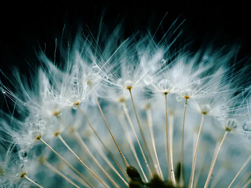 这些“最起码的礼貌”，希望你懂！