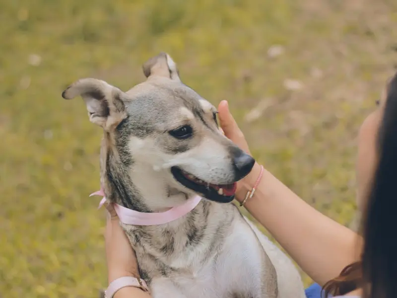 刚和女朋友分手，有什么办法能够让她回心转意和我复合