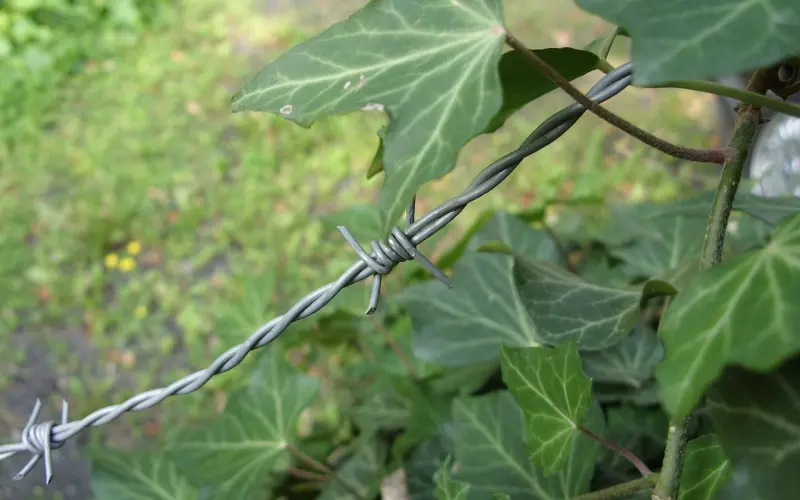 我只是想睡你，这有错么