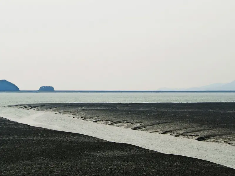 老是梦见前男友，我该怎么摆脱这种困境？
