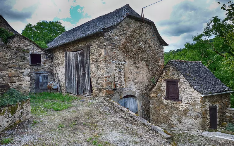 老梦见前男友，我该去挽回他吗？