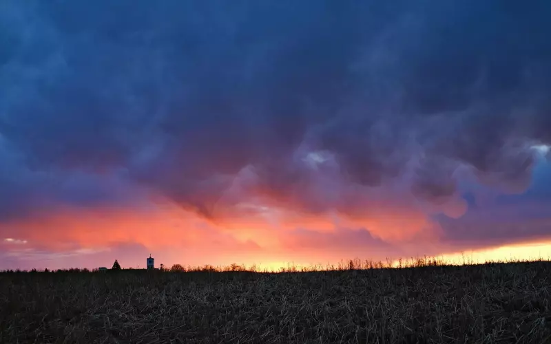 我理性地知道不会与他进入婚姻，又感性地享受与他的这段恋情......