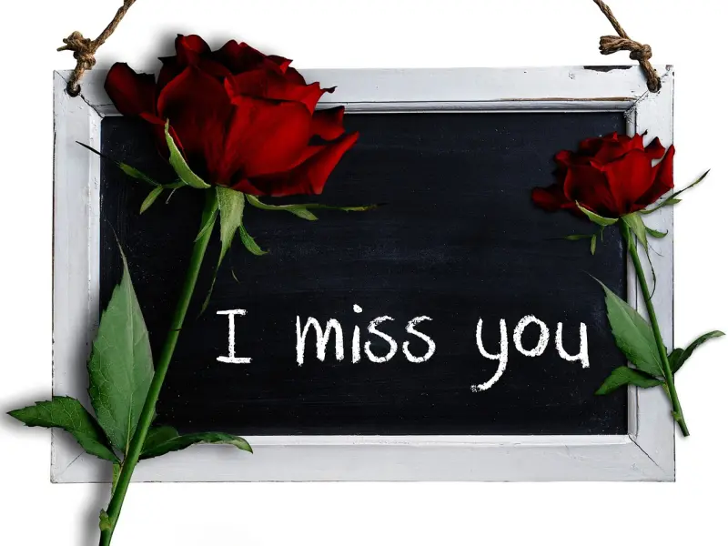 我明白你会来，所以我等