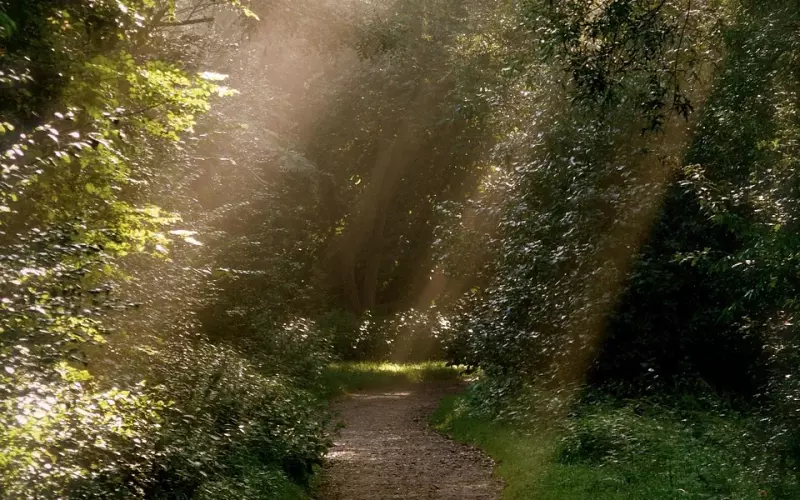 ?笑了一上午，太有才了！哈哈